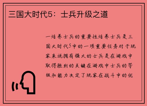 三国大时代5：士兵升级之道